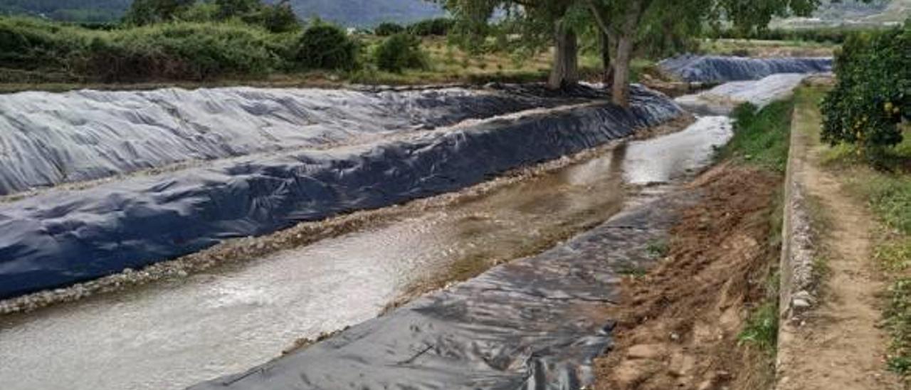 Así se erradican las cañas del río Vaca  entre Simat y Benifairó