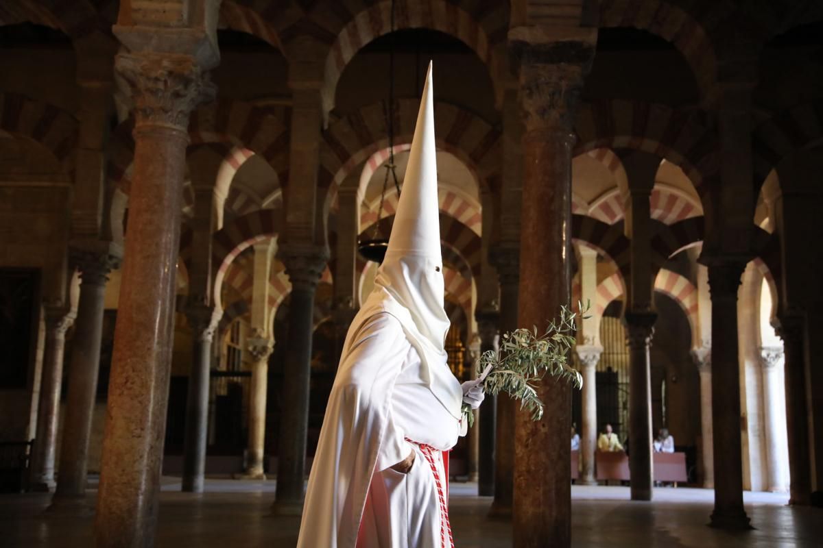 La Borriquita abre la Semana Santa cordobesa