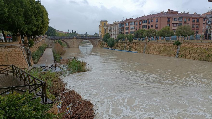 Imagen del río Segura a su paso por Murcia