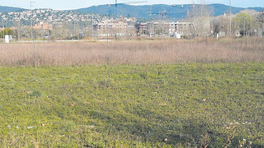 Girona aprovarà la cessió de tres solars a l’Incasòl perquè hi faci 88 pisos a Domeny