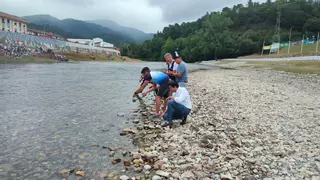 Unidos por el agua: el Segura y el Sella ya son ríos hermanos