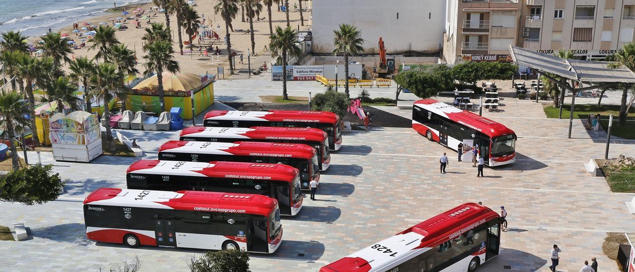 Autobuses de la las líneas urbanas del Ayuntamiento de Torrevieja