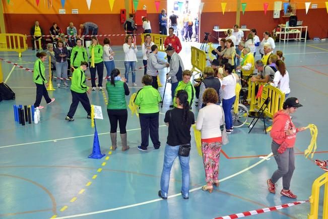 OLIMPIADA DEL ABUELO CANARIO