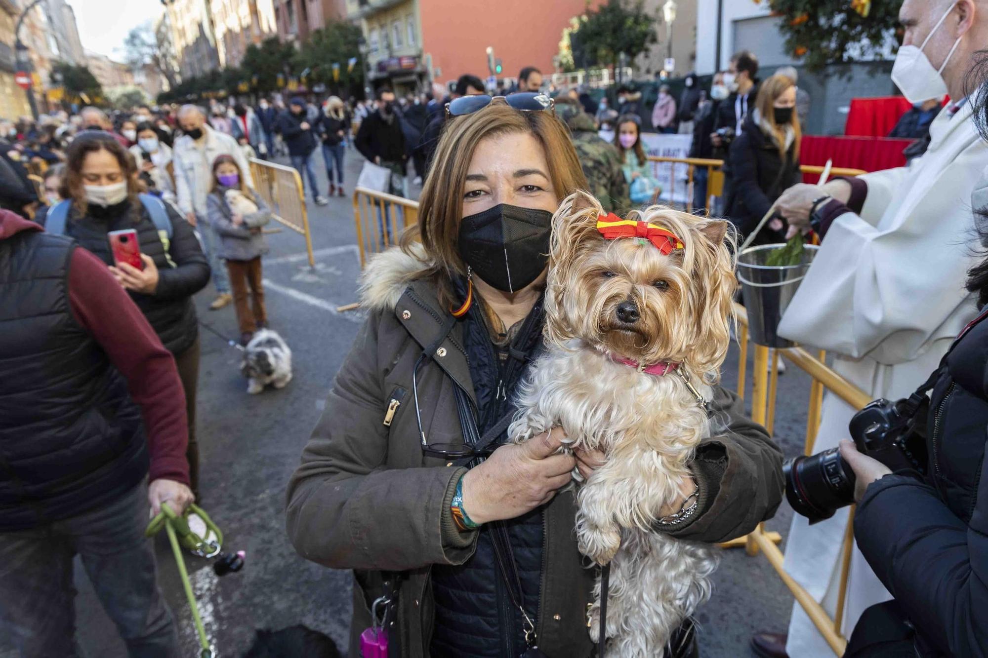 Búscate en la bendición de animales de Sant Antoni