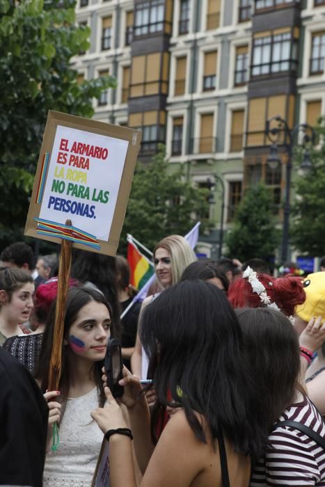 Manifestación del Orgullín del Norte.