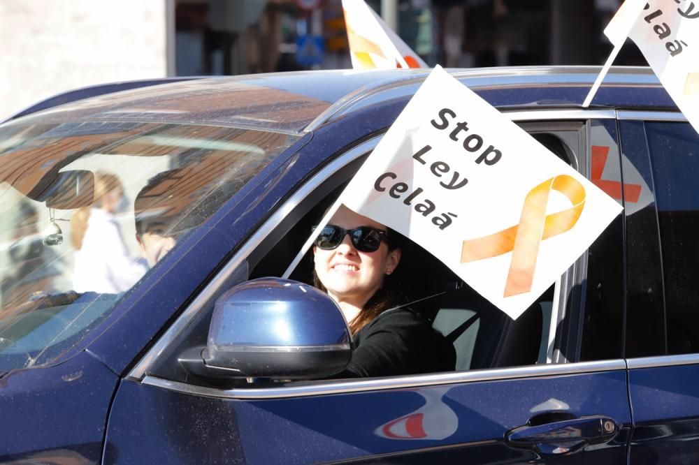 Miles de murcianos protestan en las calles contra la ley Celaá