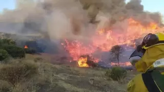 La Junta de Extremadura prevé un verano de incendios "complicado" por la acumulación de pasto
