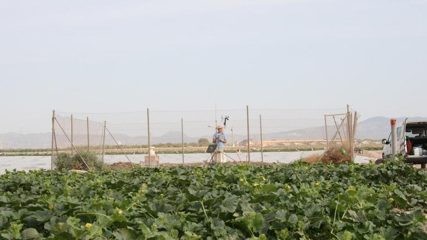El sistema de información agrario de la Región triunfa entre los agricultores y técnicos