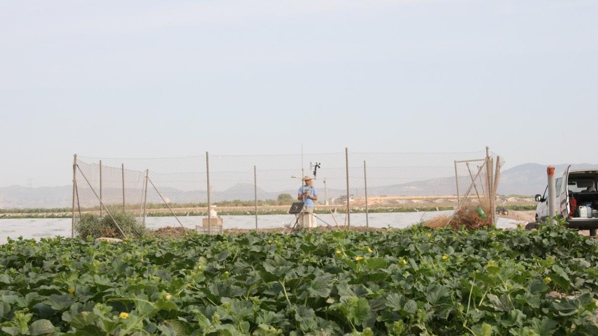 Imagen del Sistema de Información Agrario de Murcia (SIAM), ubicado en Cieza.
