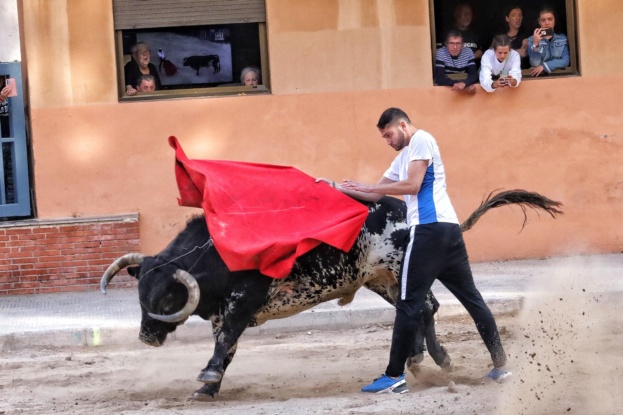 Las imágenes de la séptima jornada de las fiestas de Sant Pasqual del 2023 en Vila-real