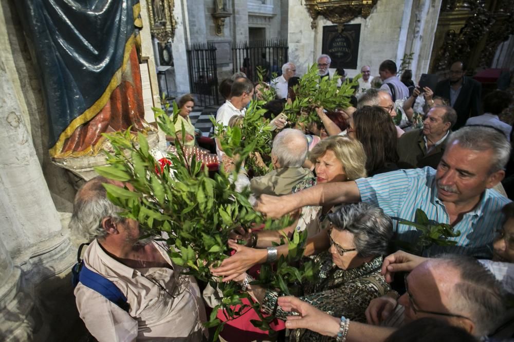 Fiesta de San Salvador en la Catedral