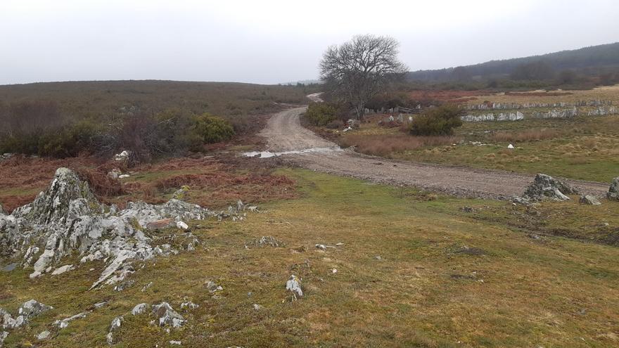 El Ayuntamiento de Manzanal de Arriba podría convertir en carretera la cañada real de Linarejos