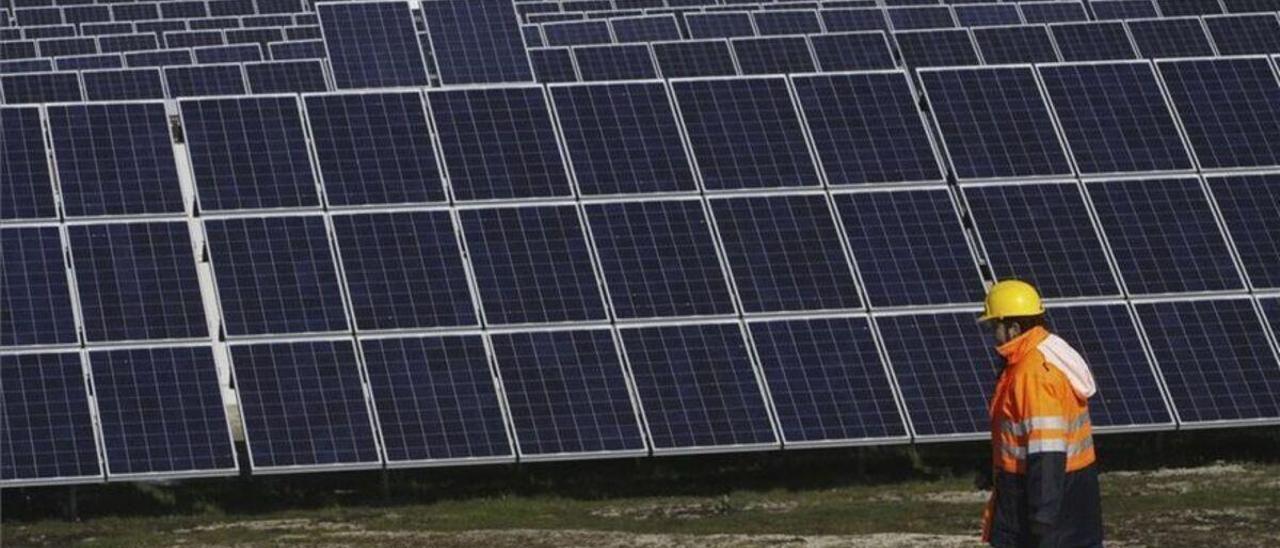 Un operario junto a placas de un parque solar.