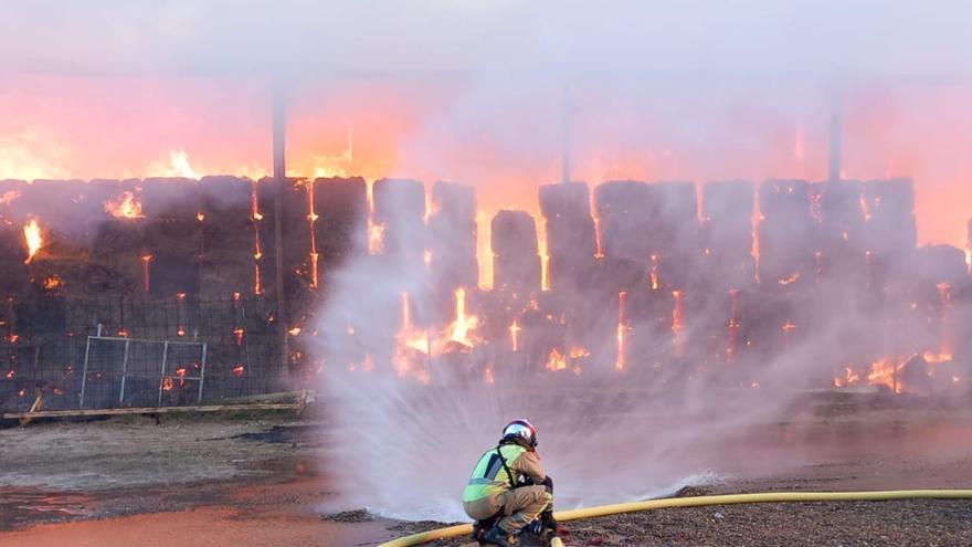 Los bomberos de la DPZ realizaron más de 2.600 intervenciones en 2023