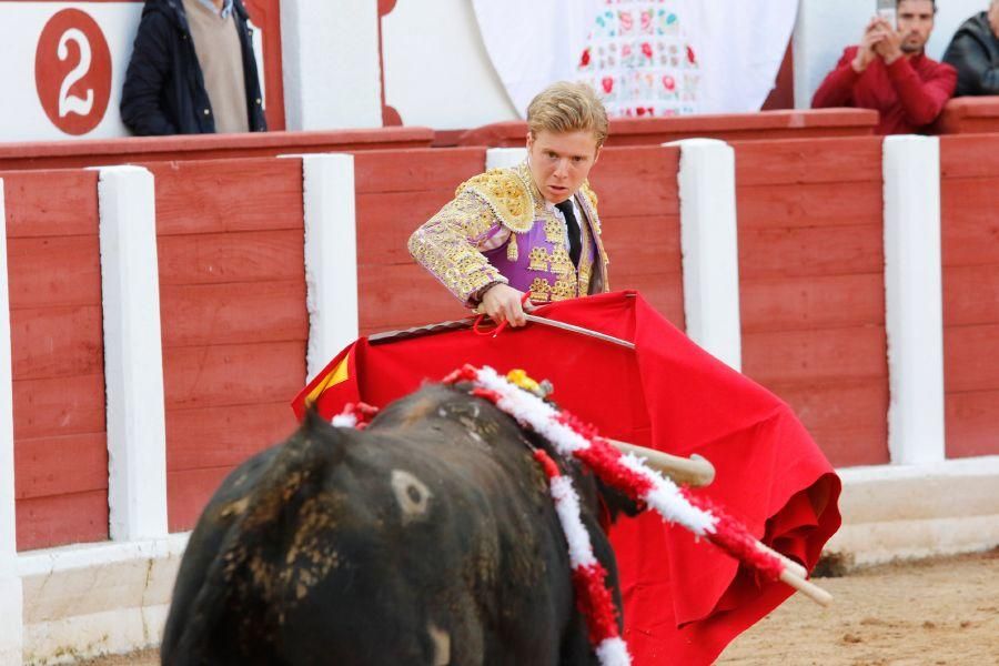 Tarde de toros en Zamora