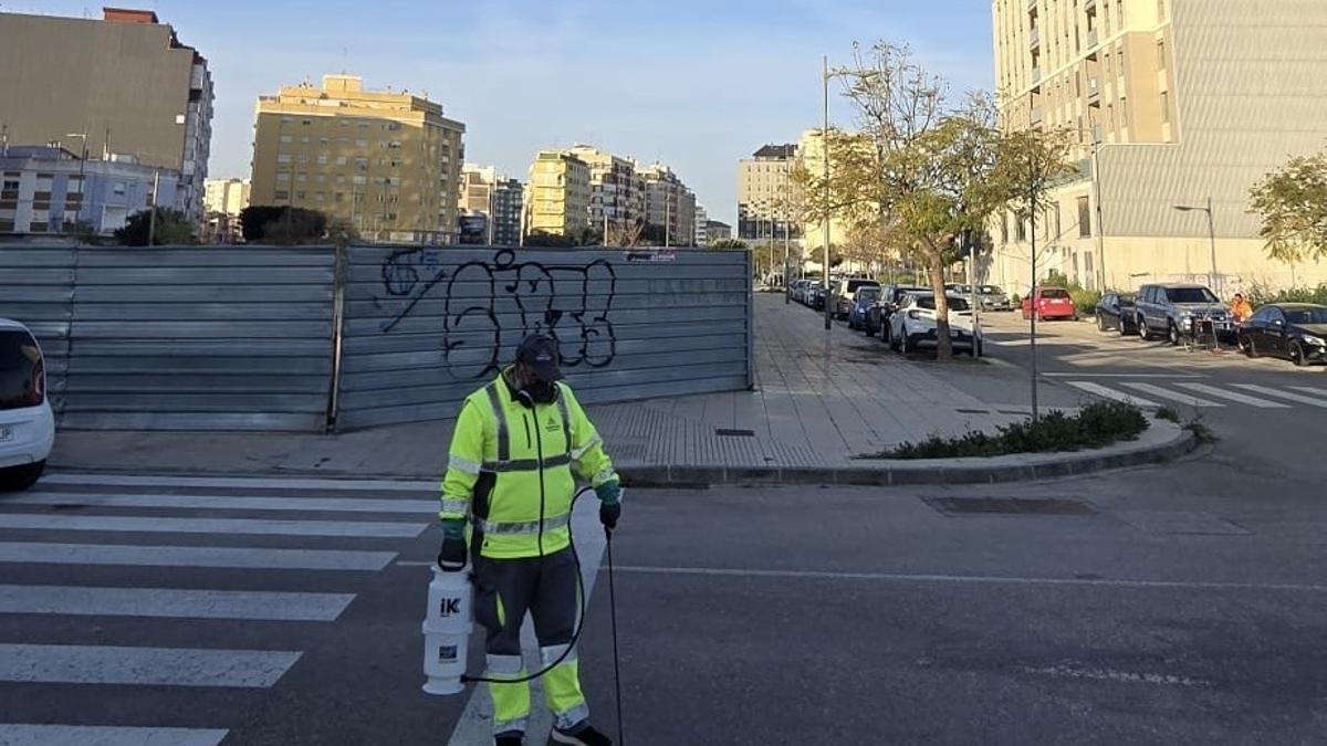 Inicio fumigaciones contra el mosquito tigre en Alzira.