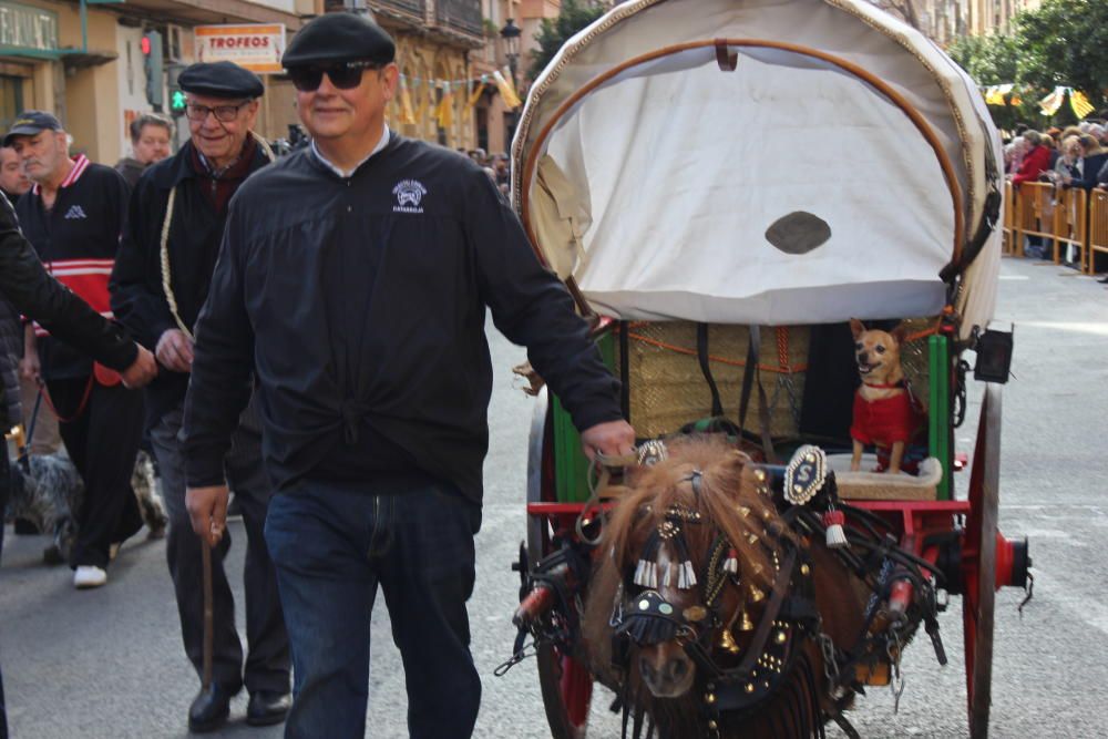 Fiesta de Sant Antoni en la ciudad de València