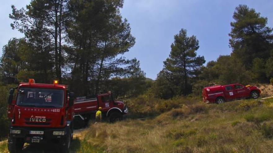 Una avioneta descargando en la zona de pinar afectada por el incendio.