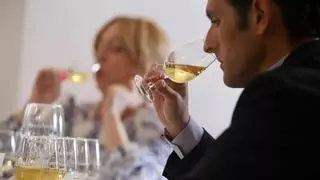 En busca de los mejores vinos