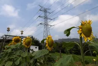 Bronca política a costa del nuevo récord histórico de la luz