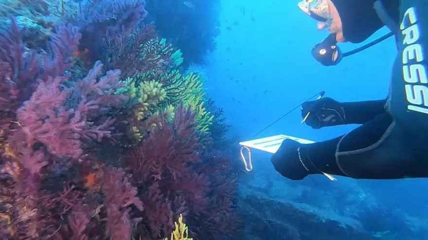 Ciència que implica la ciutadania: de surfistes que mesuren el mar a un ‘time lapse’ de la regressió de les platges