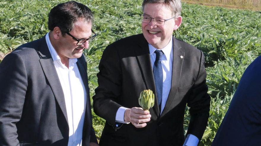 El presidente Puig, en un acto en la Vega Baja por la alcachofa