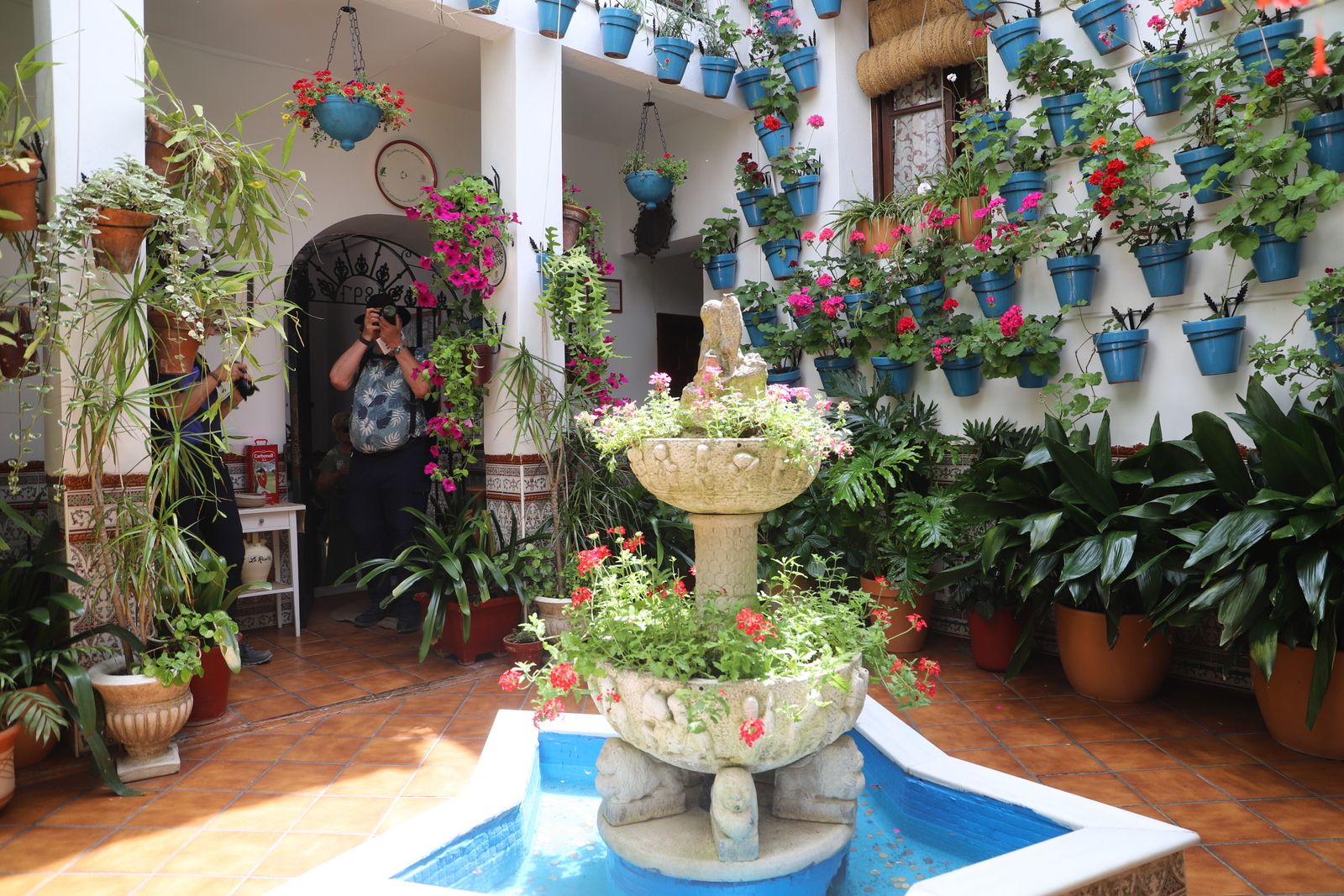 La Ruta 4 de los Patios de Córdoba, en imágenes