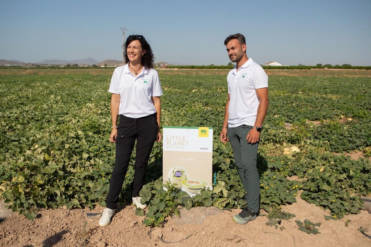 Visita a la finca de ensayo de Lobosillo.