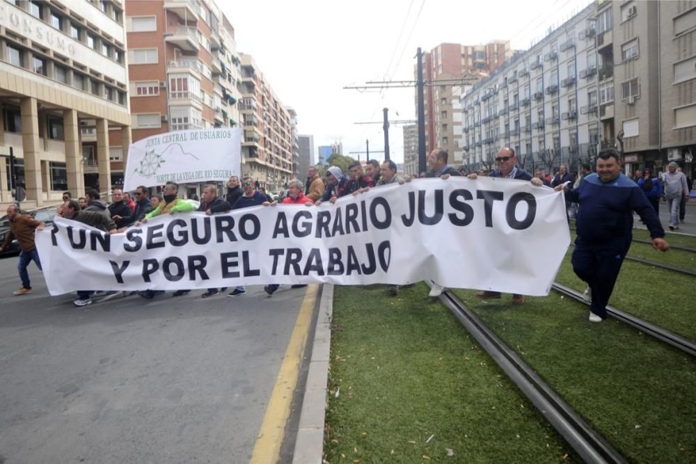 Manifestación en Murcia de los agricultores