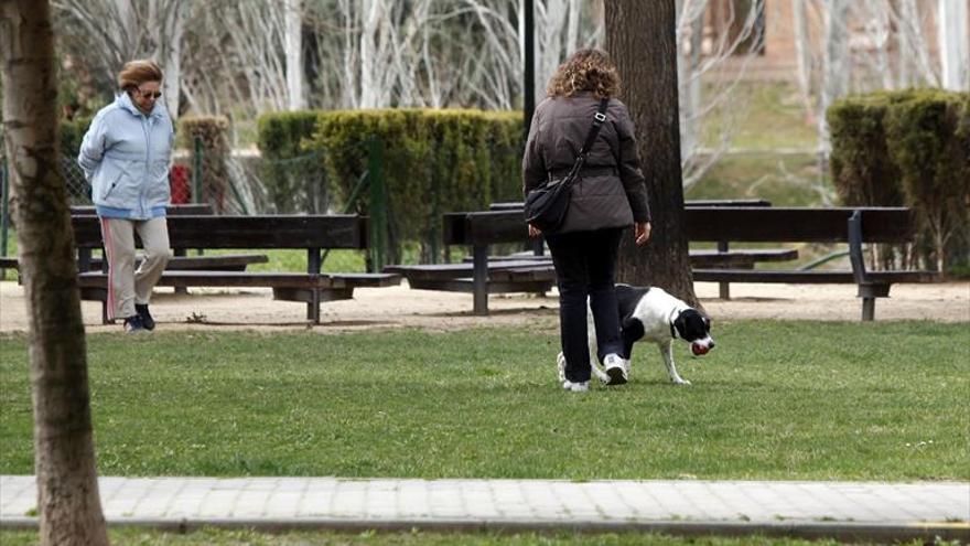 Zaragoza impone el registro de ADN canino que funcionará en solo un año
