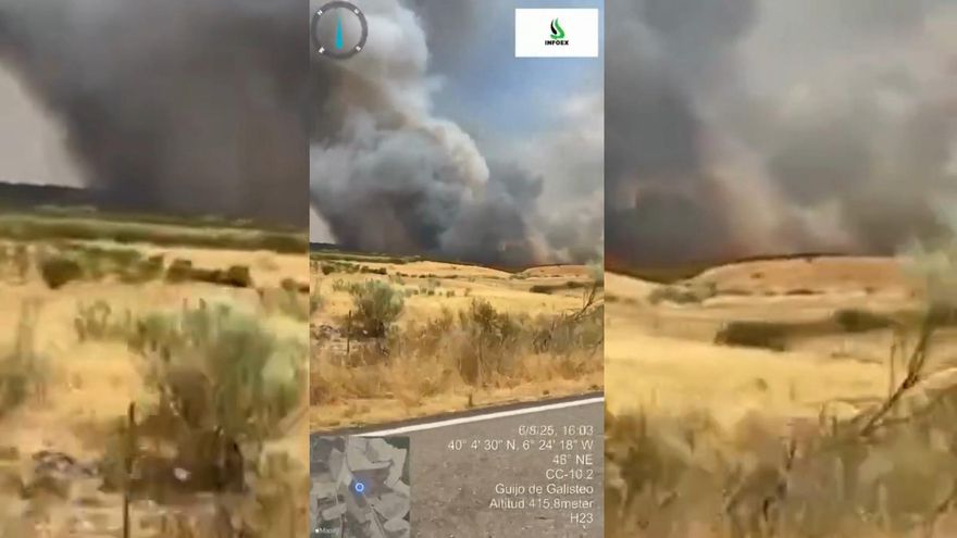 Page: "Algunos no saben ni siquiera si van a cumplir el fin de semana en el mismo cargo"