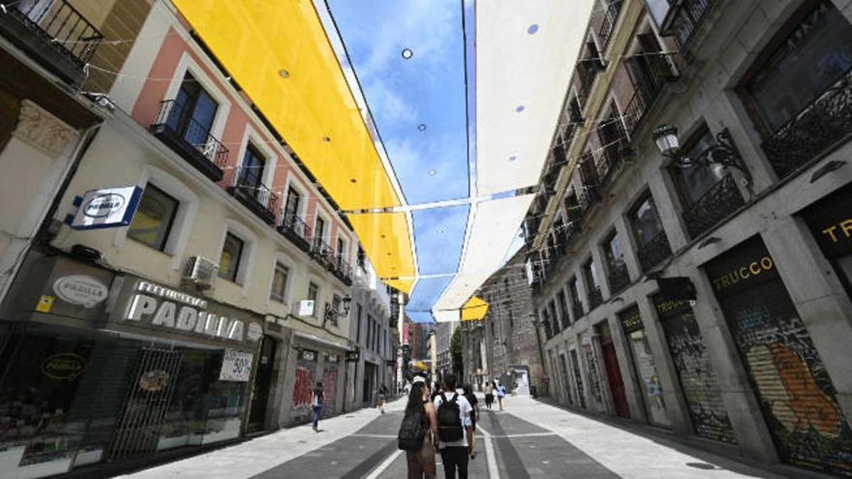 Propuesta ciudadana presentada en los Presupuestos Participativos de Santa Cruz para dotar de sombra a la calle Castillo.