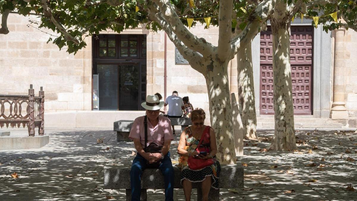 Ola de calor en Zamora.