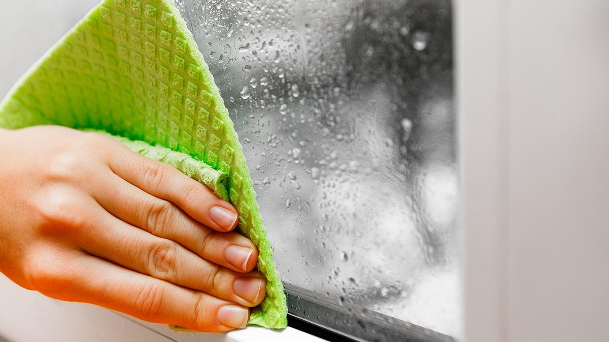DESHUMIFICADOR LIDL  Adiós a la humedad por secar la ropa dentro de casa:  el aparato portátil de Lidl que puedes llevar donde quieras