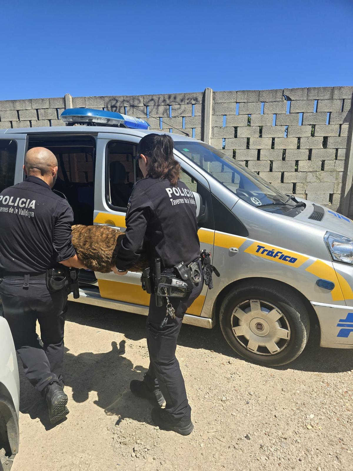 Los agentes en uno de los rescates.