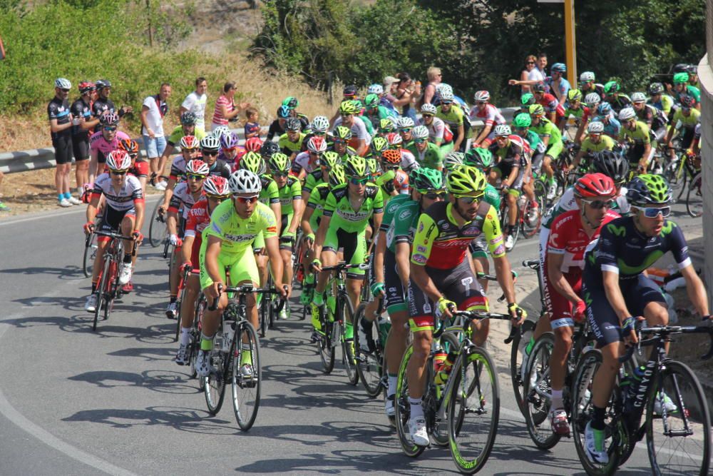 Campeonato de España de ciclismo