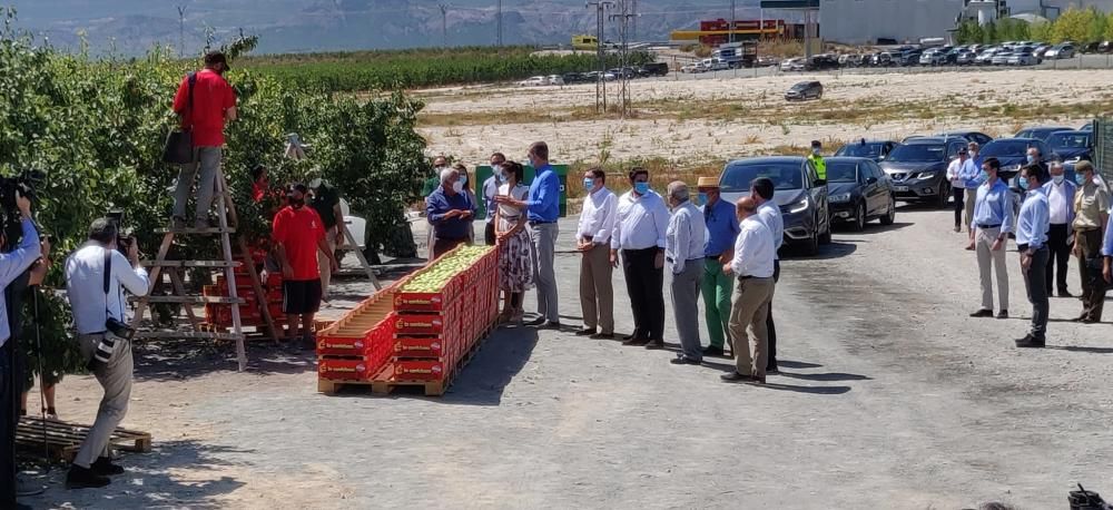 Visita de los reyes a la cooperativa La Carrichosa de Cieza