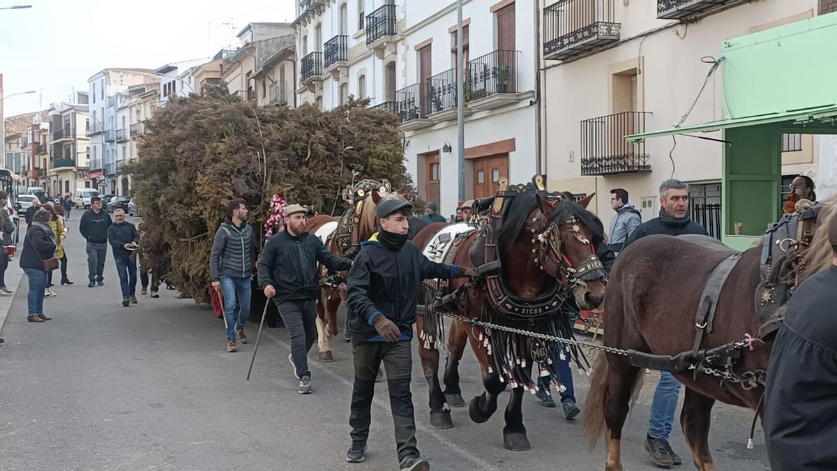 Otra foto de 'les rossegades' de este sábado en Albocàsser.