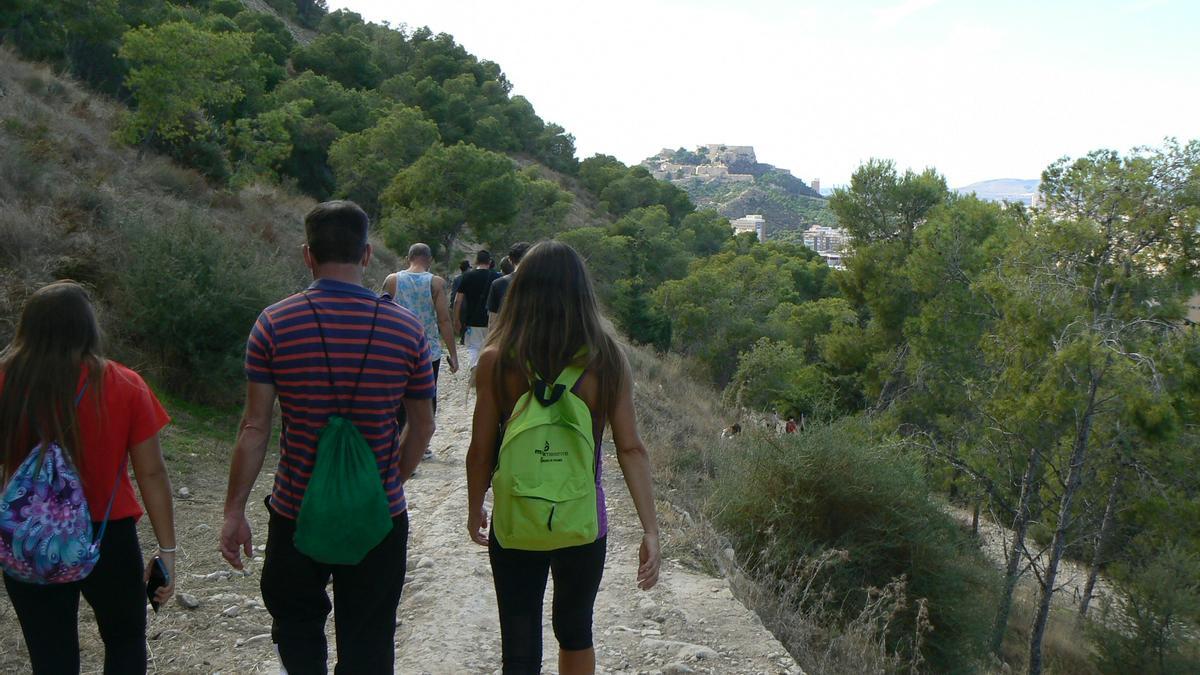 Un sendero por la Serra Grossa