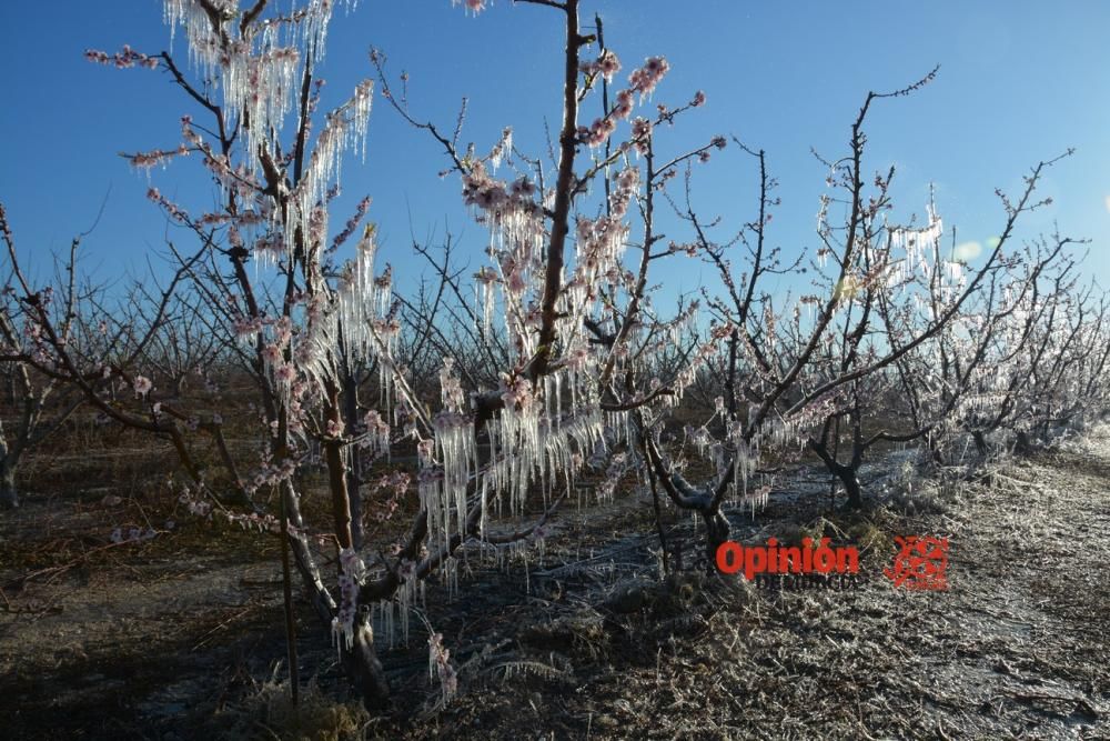 Helada en Cieza 9 de febrero de 2018