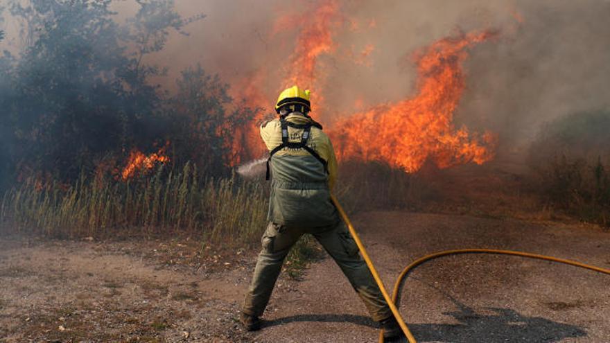 Ochocientos bomberos luchan en Portugal contra un gran incendio forestal