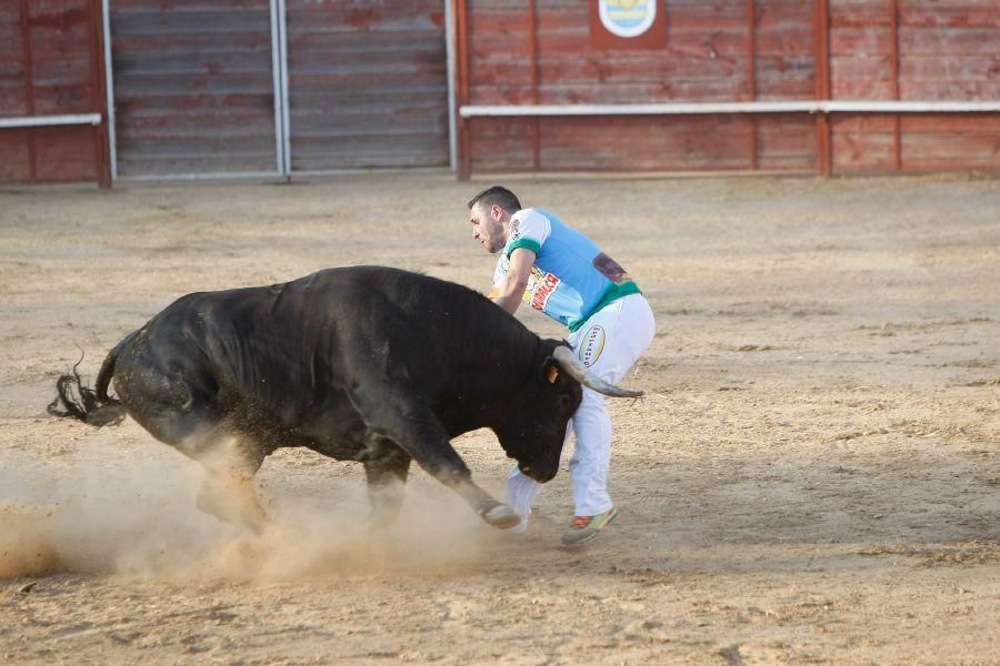 Fiestas en Zamora: Recortes en Villalpando