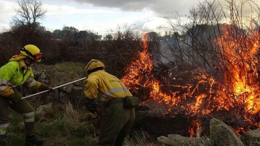 La cuadrilla de extinción y agentes medioambientales actúan en el incendio de Luelmo de Sayago.