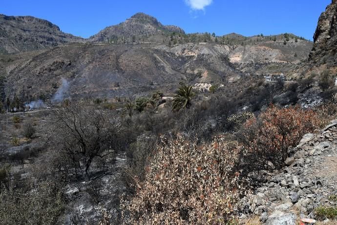 18/03/2019 FATAGA. SAN BARTOLOME DE TIRAJANA.  Incendio en Fataga, en la Finca Rural, Molino de Agua. Fotografa: YAIZA SOCORRO.  | 18/03/2019 | Fotógrafo: Yaiza Socorro