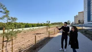 Gandia amplía su playa con 12.500 m2 fruto de un singular pacto urbanístico