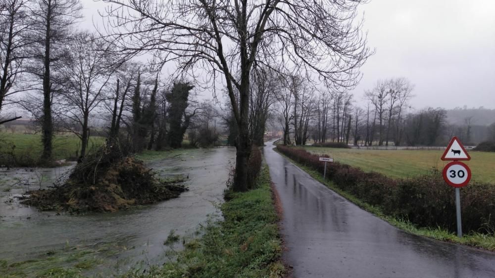 Tiempo en Asturias: Las espectaculares imágenes de las riadas, argayos e incidencias del temporal