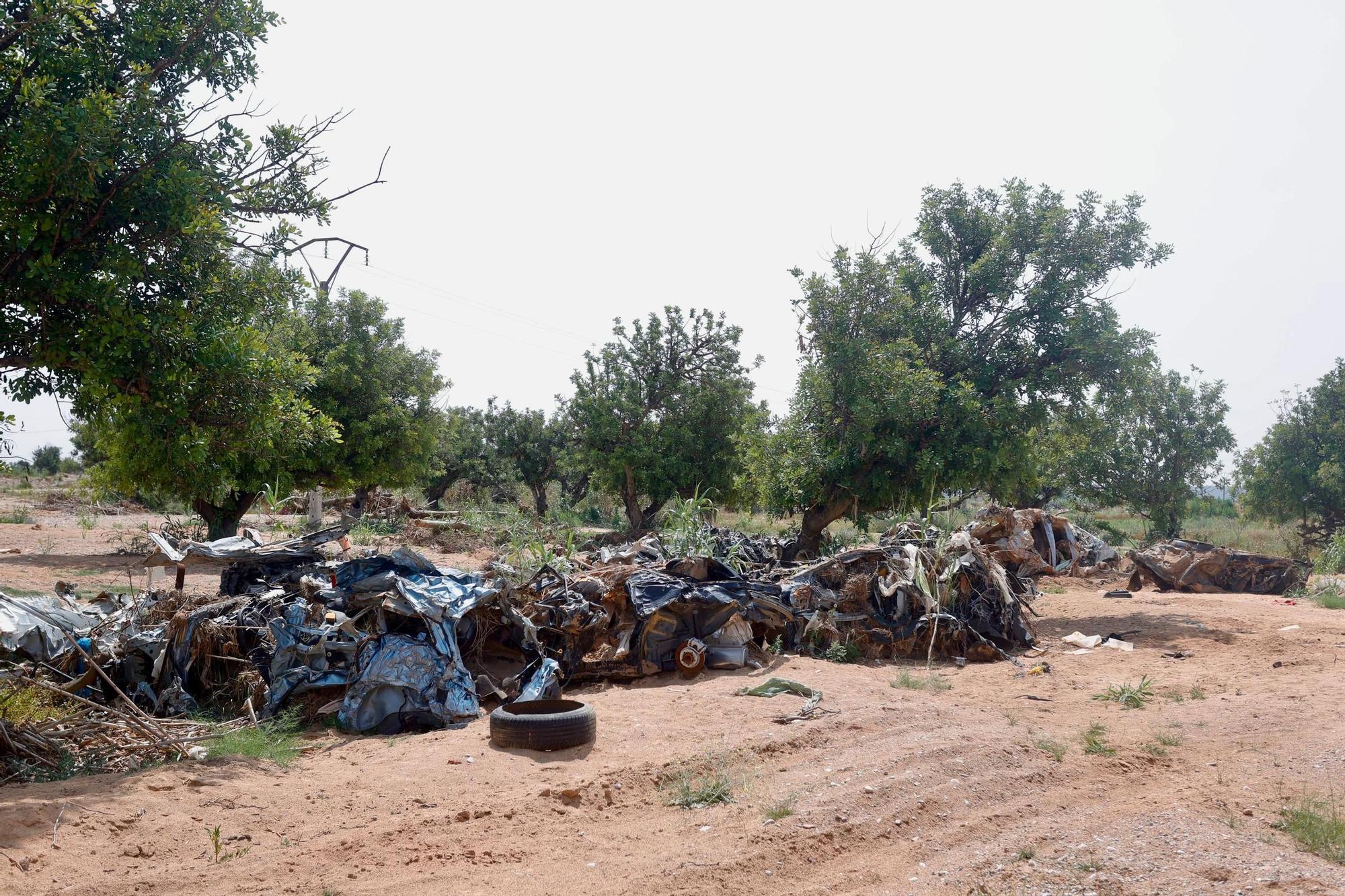 Vertidos ilegales y abandono de más de 300 vehículos tras la riada del 29 de octubre