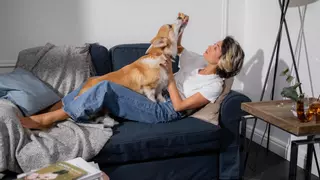 Estas son las cinco mascotas más populares en España (algunas te sorprenderán)
