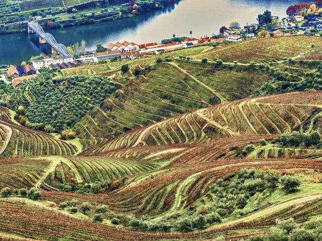 Duero: navegar entre viñedos heroicos