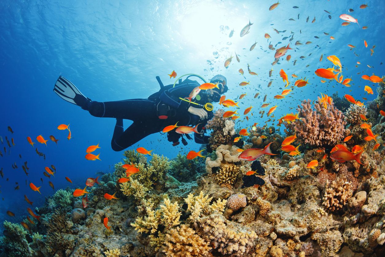 Descubre los mejores puntos de buceo del mar Caribe con Flowo y Club VIAJAR.